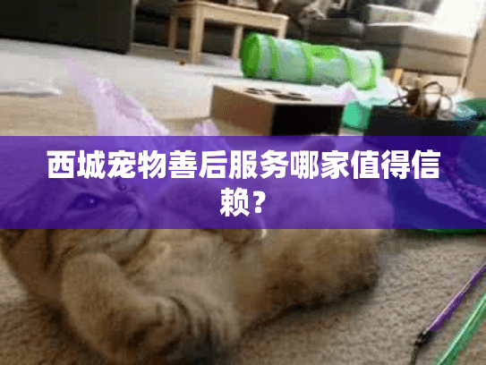 西城宠物善后服务哪家值得信赖？