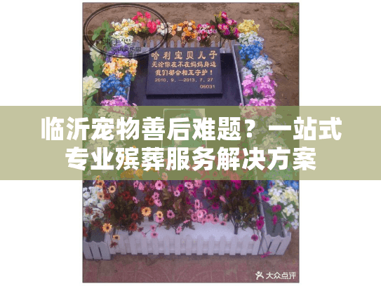 临沂宠物善后难题?一站式专业殡葬服务解决方案 临沂宠物善后难题?一站式专业殡葬服务解决方案