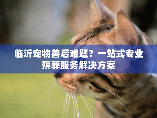 临沂宠物善后难题?一站式专业殡葬服务解决方案 临沂宠物善后难题?一站式专业殡葬服务解决方案