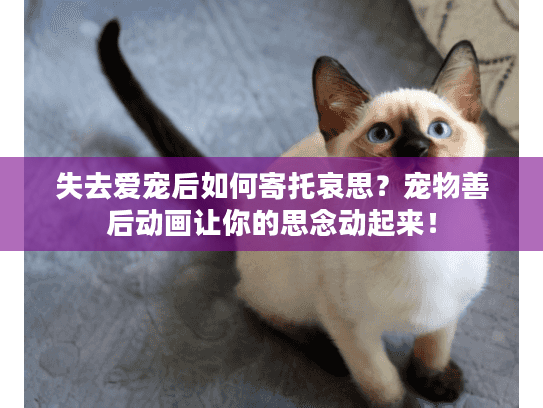 失去爱宠后如何寄托哀思?宠物善后动画让你的思念动起来! 失去爱宠后如何寄托哀思?宠物善后动画让你的思念动起来!
