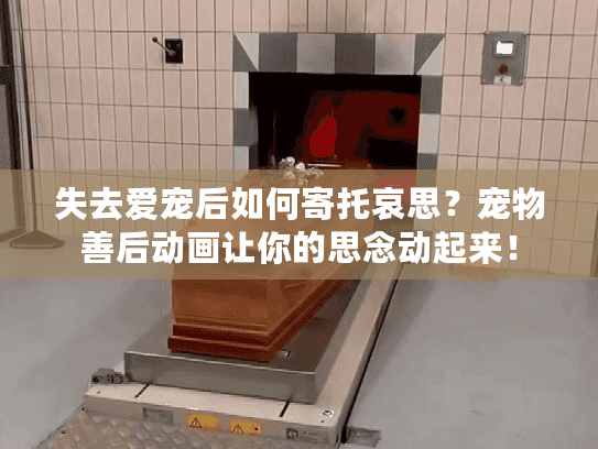 失去爱宠后如何寄托哀思?宠物善后动画让你的思念动起来! 失去爱宠后如何寄托哀思?宠物善后动画让你的思念动起来!