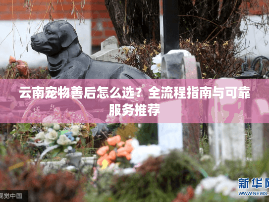 云南宠物善后怎么选？全流程指南与可靠服务推荐