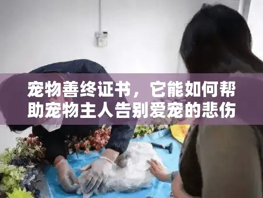 宠物善终证书，它能如何帮助宠物主人告别爱宠的悲伤？