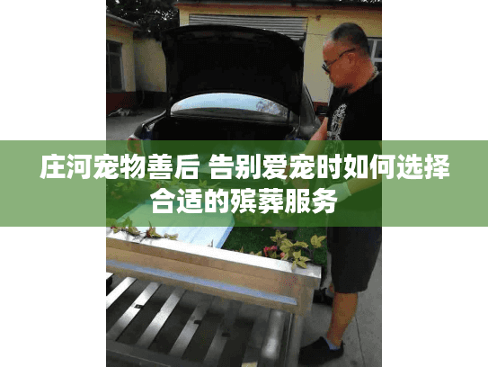 庄河宠物善后 告别爱宠时如何选择合适的殡葬服务