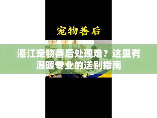 湛江宠物善后处理难？这里有温暖专业的送别指南