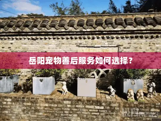 岳阳宠物善后服务如何选择? 岳阳宠物善后服务如何选择?