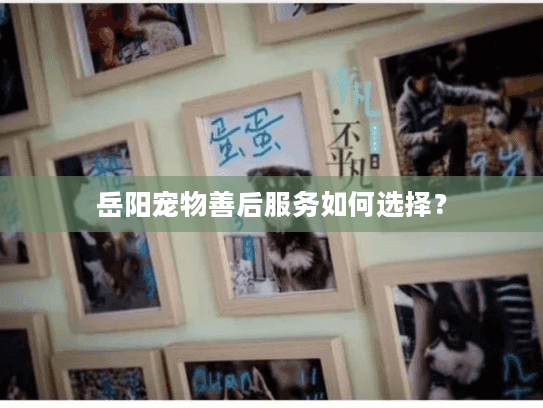 岳阳宠物善后服务如何选择? 岳阳宠物善后服务如何选择?