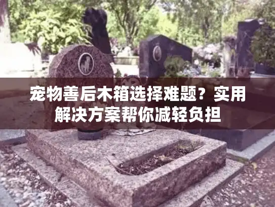 宠物善后木箱选择难题?实用解决方案帮你减轻负担 宠物善后木箱选择难题?实用解决方案帮你减轻负担