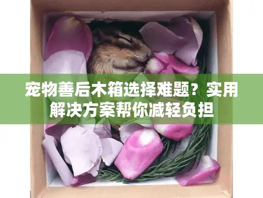 宠物善后木箱选择难题?实用解决方案帮你减轻负担 宠物善后木箱选择难题?实用解决方案帮你减轻负担