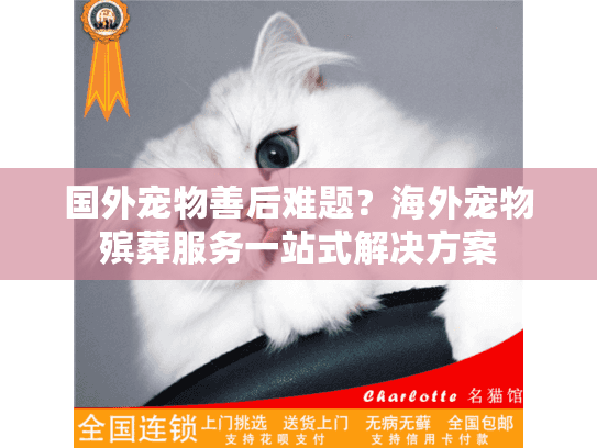 国外宠物善后难题？海外宠物殡葬服务一站式解决方案