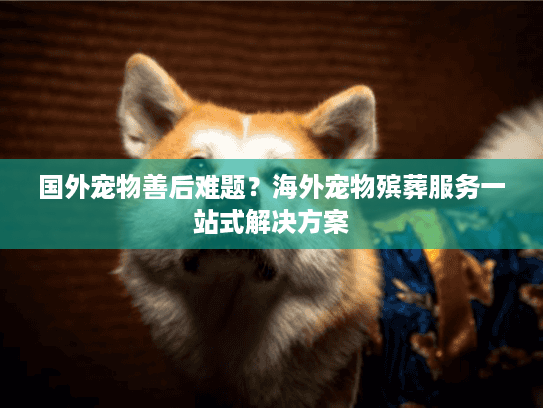 国外宠物善后难题？海外宠物殡葬服务一站式解决方案