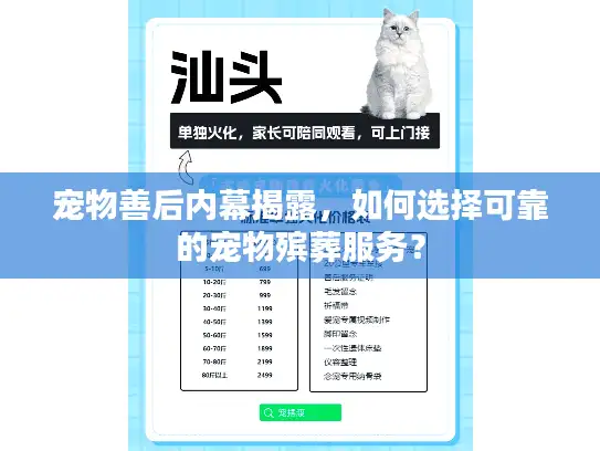 宠物善后内幕揭露，如何选择可靠的宠物殡葬服务？