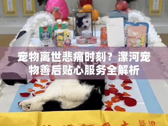 宠物离世悲痛时刻?漯河宠物善后贴心服务全解析 宠物离世悲痛时刻?漯河宠物善后贴心服务全解析
