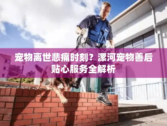 宠物离世悲痛时刻?漯河宠物善后贴心服务全解析 宠物离世悲痛时刻?漯河宠物善后贴心服务全解析