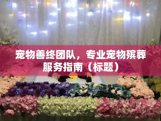 宠物善终团队，专业宠物殡葬服务指南（标题）