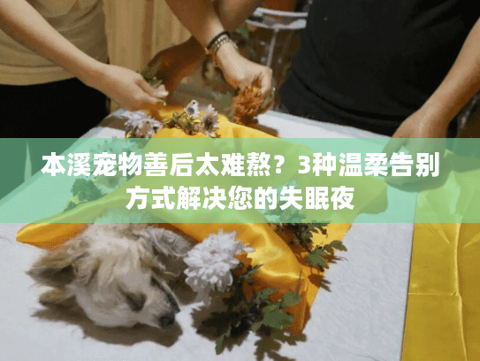 本溪宠物善后太难熬?3种温柔告别方式解决您的失眠夜 本溪宠物善后太难熬?3种温柔告别方式解决您的失眠夜
