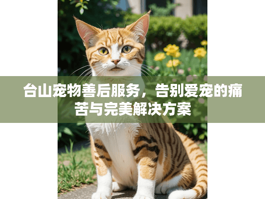 台山宠物善后服务，告别爱宠的痛苦与完美解决方案