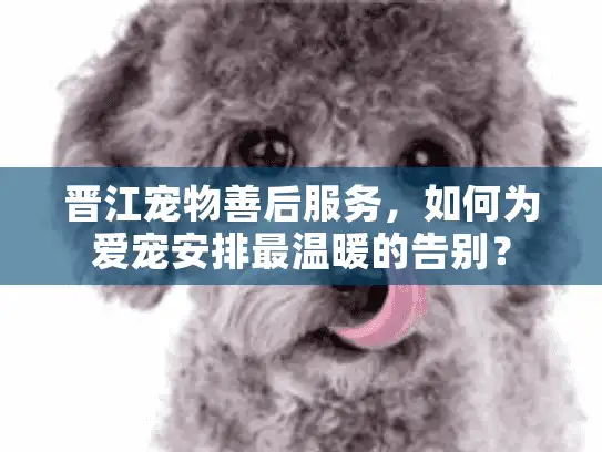 晋江宠物善后服务，如何为爱宠安排最温暖的告别？