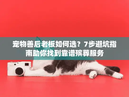 宠物善后老板如何选？7步避坑指南助你找到靠谱殡葬服务