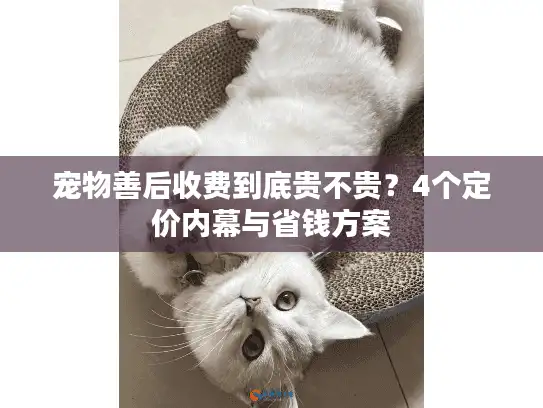 宠物善后收费到底贵不贵？4个定价内幕与省钱方案