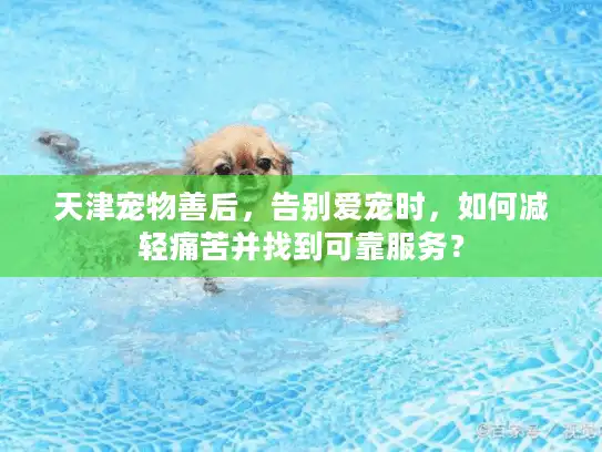 天津宠物善后，告别爱宠时，如何减轻痛苦并找到可靠服务？