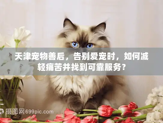 天津宠物善后，告别爱宠时，如何减轻痛苦并找到可靠服务？