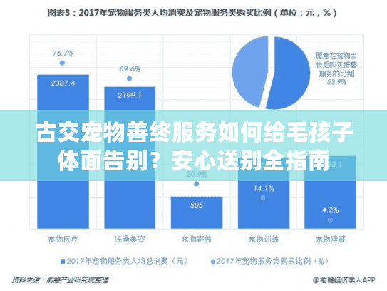 古交宠物善终服务如何给毛孩子体面告别？安心送别全指南
