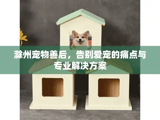 滁州宠物善后，告别爱宠的痛点与专业解决方案