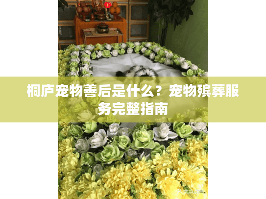 桐庐宠物善后是什么？宠物殡葬服务完整指南
