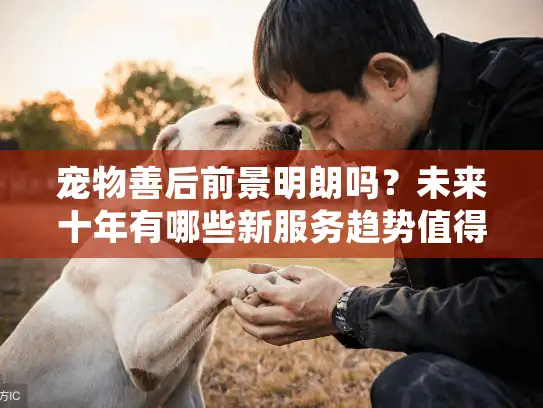 宠物善后前景明朗吗？未来十年有哪些新服务趋势值得期待？
