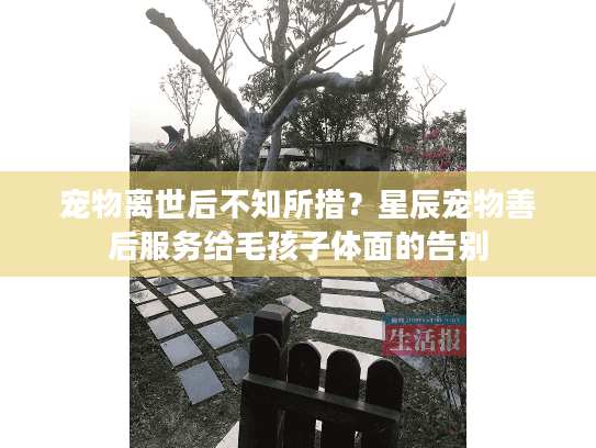 宠物离世后不知所措？星辰宠物善后服务给毛孩子体面的告别