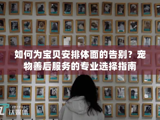 如何为宝贝安排体面的告别？宠物善后服务的专业选择指南