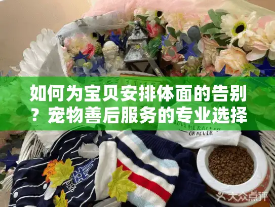 如何为宝贝安排体面的告别？宠物善后服务的专业选择指南