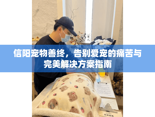信阳宠物善终,告别爱宠的痛苦与完美解决方案指南 信阳宠物善终,告别爱宠的痛苦与完美解决方案指南