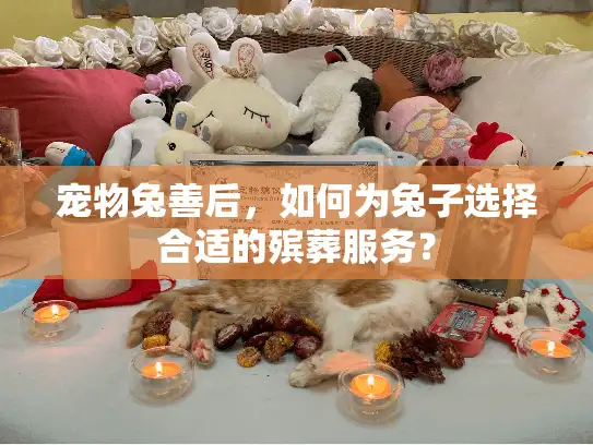 宠物兔善后，如何为兔子选择合适的殡葬服务？