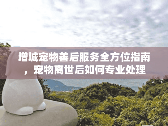 增城宠物善后服务全方位指南，宠物离世后如何专业处理