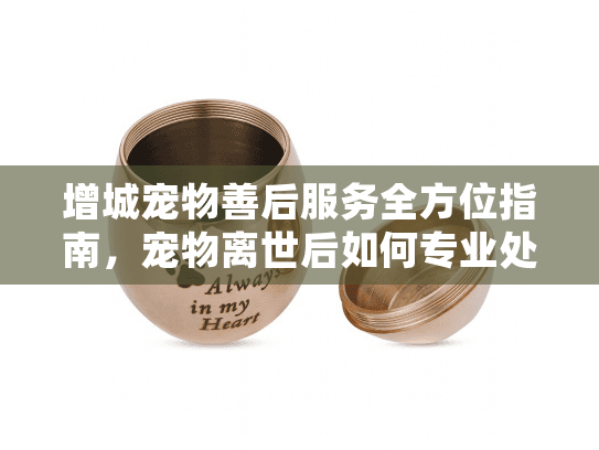 增城宠物善后服务全方位指南，宠物离世后如何专业处理