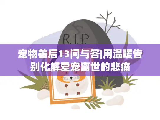 宠物善后13问与答|用温暖告别化解爱宠离世的悲痛 宠物善后13问与答|用温暖告别化解爱宠离世的悲痛