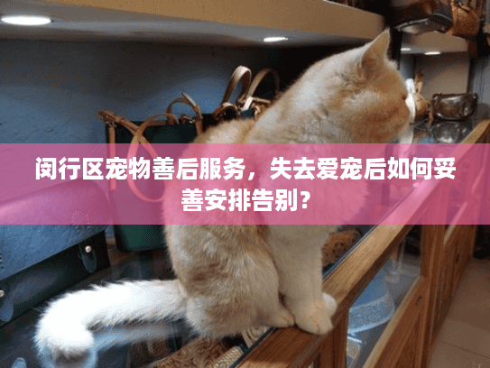 闵行区宠物善后服务,失去爱宠后如何妥善安排告别? 闵行区宠物善后服务,失去爱宠后如何妥善安排告别?