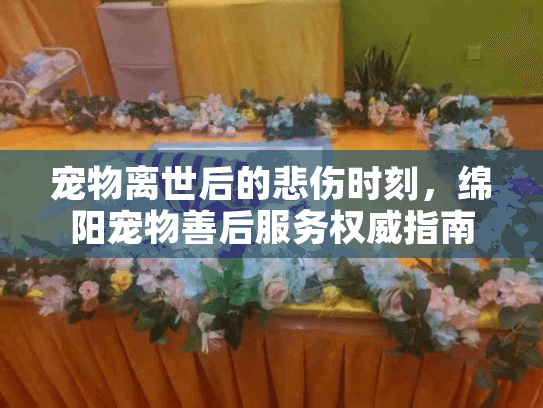宠物离世后的悲伤时刻，绵阳宠物善后服务权威指南