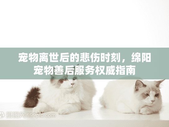 宠物离世后的悲伤时刻，绵阳宠物善后服务权威指南