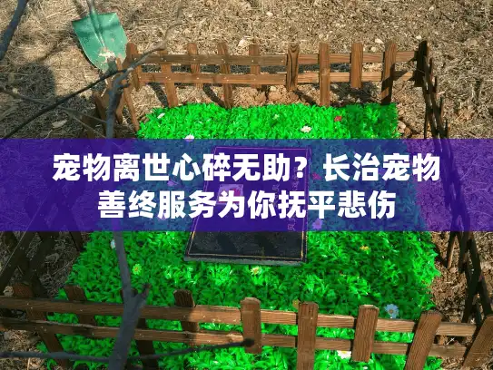 宠物离世心碎无助?长治宠物善终服务为你抚平悲伤 宠物离世心碎无助?长治宠物善终服务为你抚平悲伤