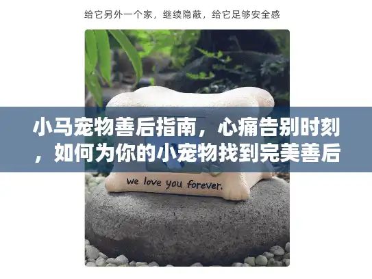 小马宠物善后指南，心痛告别时刻，如何为你的小宠物找到完美善后服务