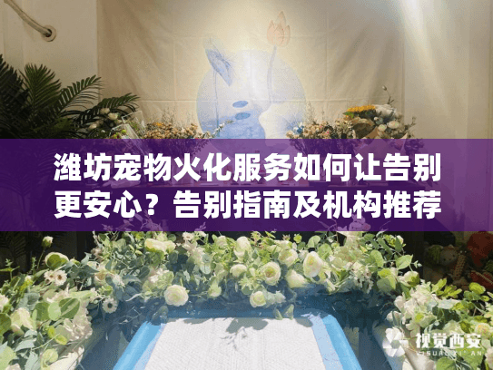 潍坊宠物火化服务如何让告别更安心？告别指南及机构推荐