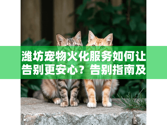 潍坊宠物火化服务如何让告别更安心？告别指南及机构推荐