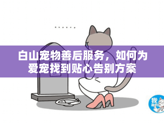 白山宠物善后服务,如何为爱宠找到贴心告别方案 白山宠物善后服务,如何为爱宠找到贴心告别方案