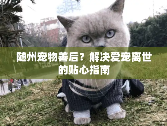 随州宠物善后？解决爱宠离世的贴心指南