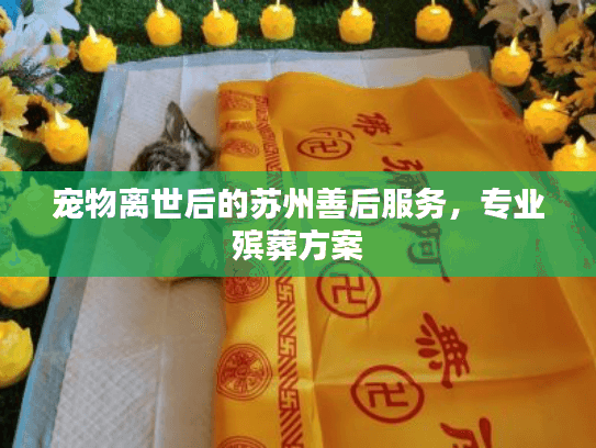 宠物离世后的苏州善后服务，专业殡葬方案
