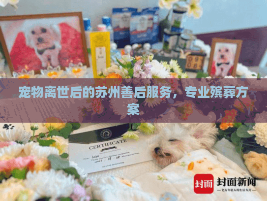宠物离世后的苏州善后服务，专业殡葬方案
