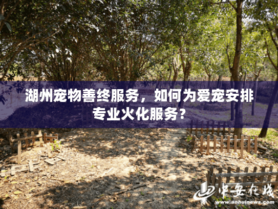 湖州宠物善终服务，如何为爱宠安排专业火化服务？